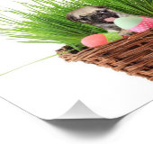 Osterwelpe Mops Fotodruck (Ecke)