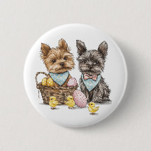 OsterYorkshire Terrier Dogs