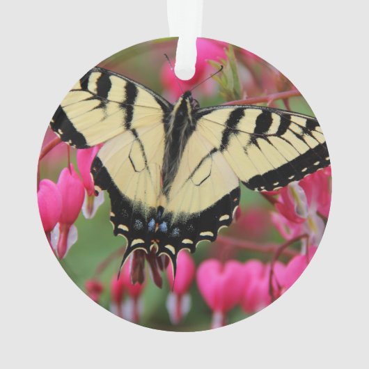 OstFrack Ornament (Rückseite)