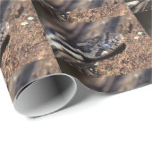 Ostfuchsschlange Geschenkpapier (Rolleneckpunkt)