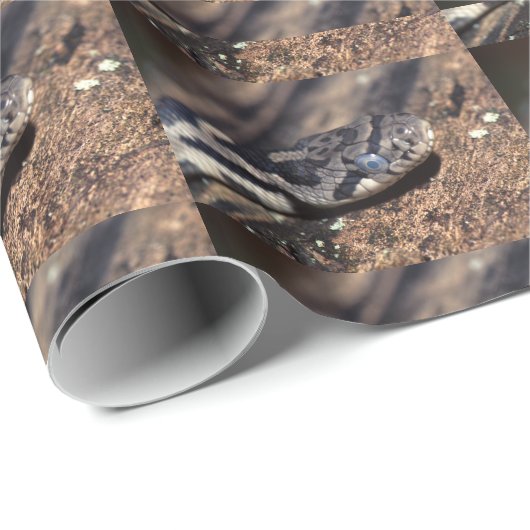 Ostfuchsschlange Geschenkpapier (Rolleneckpunkt)