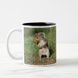 Ostgrau-Eichhörnchen-Tasse Zweifarbige Tasse