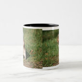 Ostgrau-Eichhörnchen-Tasse Zweifarbige Tasse (Mittel)