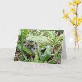 Ostgraue Treefrog Naturfotografie Karte (Gelbe Blume)