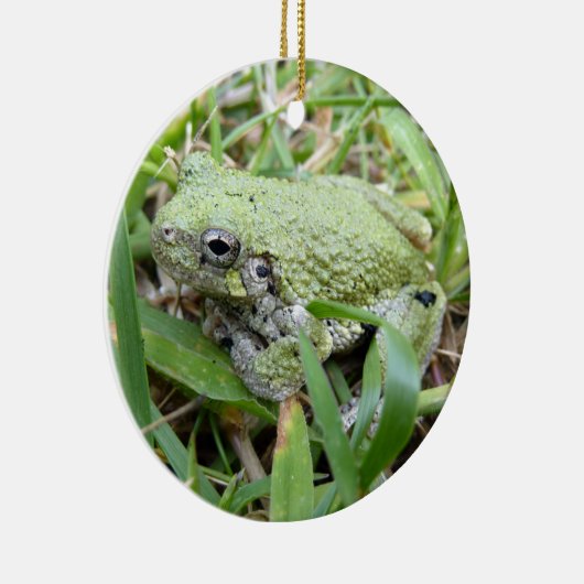 Ostgraue Treefrog Naturfotografie Keramik Ornament (Rechts)
