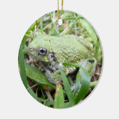 Ostgraue Treefrog Naturfotografie Keramik Ornament (Links)