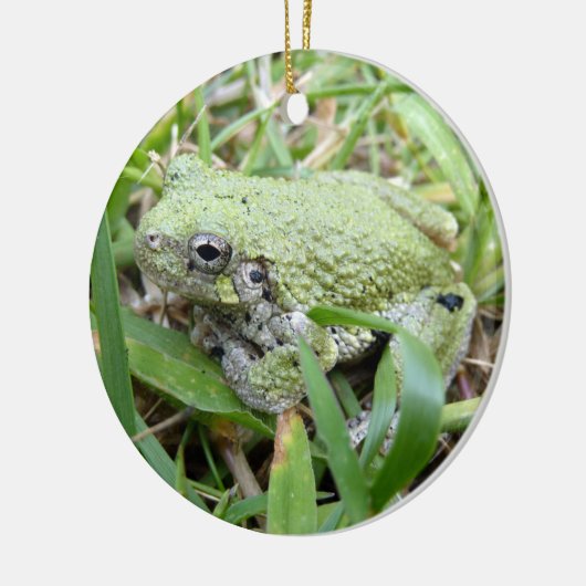 Ostgraue Treefrog Naturfotografie Keramik Ornament (Links)