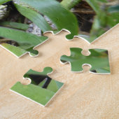 Ostgraue Treefrog Naturfotografie Puzzle (Seite)