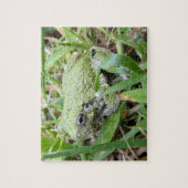 Ostgraue Treefrog Naturfotografie Puzzle (Vertikal)