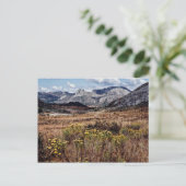 Osthochland, Blume Simbabwes Postkarte (Stehend Vorderseite)