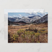 Osthochland, Blume Simbabwes Postkarte (Vorne/Hinten)