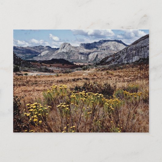 Osthochland, Blume Simbabwes Postkarte (Vorderseite)