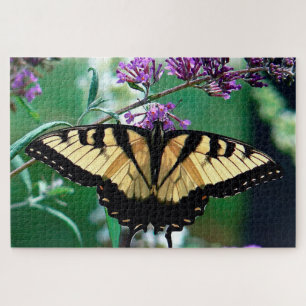 Ostiger Schmetterling. Puzzle