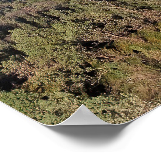 Ostjava-Vulkane Poster (Ecke)