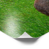 Ostkaninchen Fotodruck (Ecke)