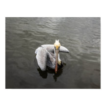 Ostküste Pelican (Matte)