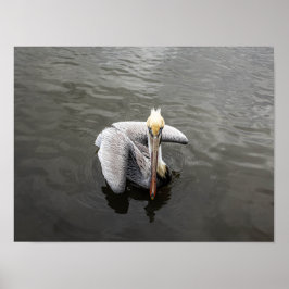 Ostküste Pelican (Matte) Poster