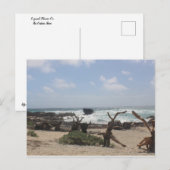 Ostküste von Cozumel Postkarte (Vorne/Hinten)