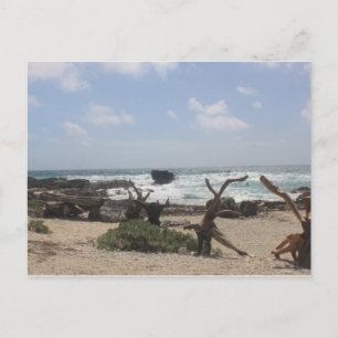 Ostküste von Cozumel Postkarte