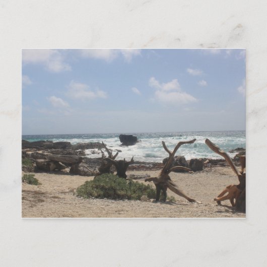 Ostküste von Cozumel Postkarte (Vorderseite)