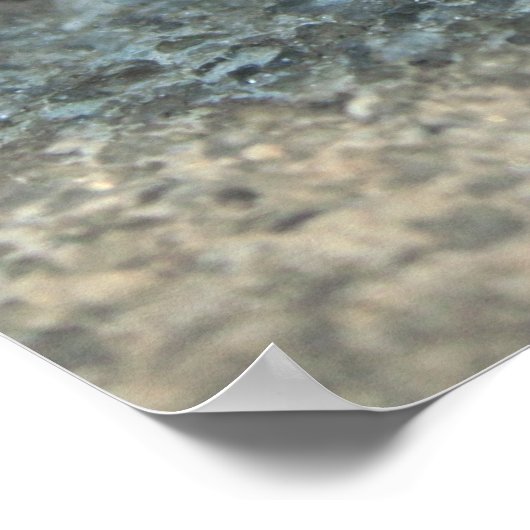 Östliche Käfer-Plakat Poster (Ecke)