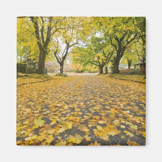 Östliche Nachbarschaft im Herbst Magnet (Vorne)