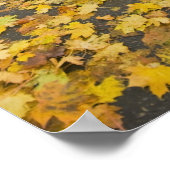 Östliche Nachbarschaft im Herbst Poster (Ecke)