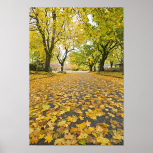 Östliche Nachbarschaft im Herbst Poster