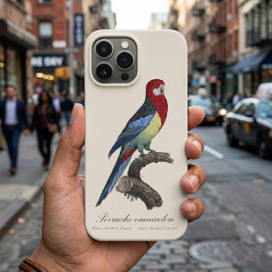 Östliche Rosella oder Platycercus eximius Sittich Case-Mate iPhone Hülle