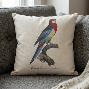 Östliche Rosella oder Platycercus eximius Sittich Kissen