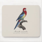 Östliche Rosella oder Platycercus eximius Sittich Mousepad (Vorne)