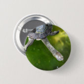 Östliche Schlange-Necked Schildkröte Button (Vorne & Hinten)