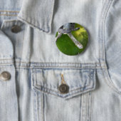 Östliche Schlange-Necked Schildkröte Button (Beispiel)