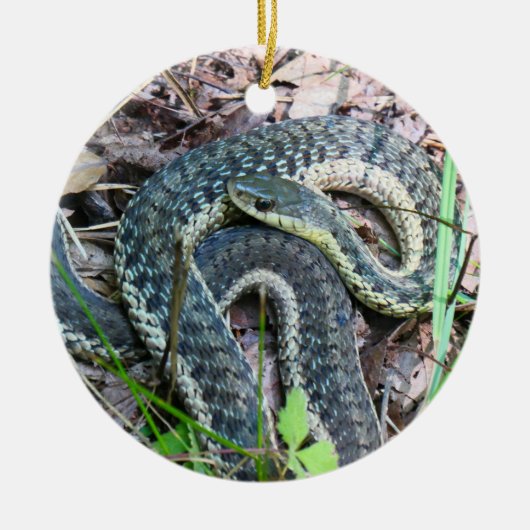 Östliche Strumpfbandnatter bei Cape Cod Keramik Ornament (Vorne)