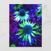 Östliche Wiesenblume Postkarte (Vorderseite)