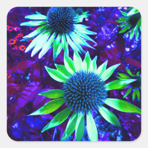 Östliche Wiesenblume Quadratischer Aufkleber