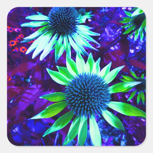 Östliche Wiesenblume Quadratischer Aufkleber (Vorderseite)
