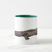 Östlicher Alligator Tasse (Zentrum)