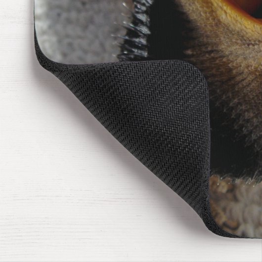 Östlicher bärtiger Drache - Pogona barbata Mousepad (Ecke)