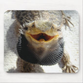 Östlicher bärtiger Drache - Pogona barbata Mousepad (Vorne)