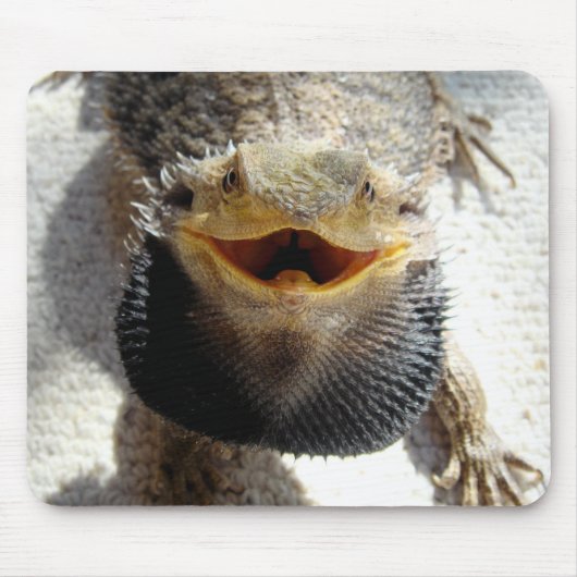 Östlicher bärtiger Drache - Pogona barbata Mousepad (Vorne)