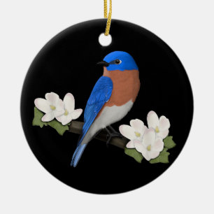 Östlicher Blauvogel Vogelfreund Vogelbeobachter Ti Keramik Ornament