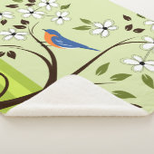 Östlicher Bluebird über Blütenbaum Sherpadecke (3/4)