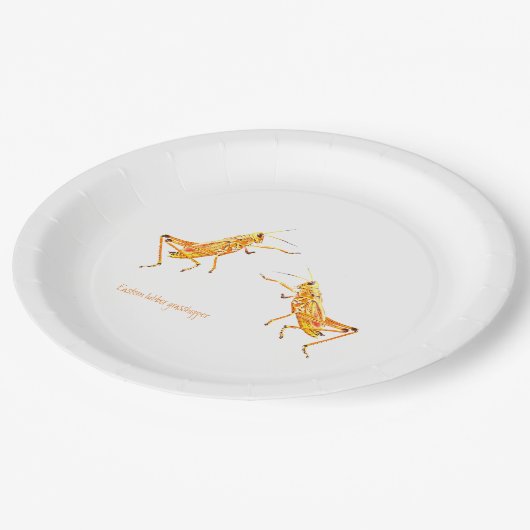 Östlicher Schmierfisch Pappteller (Schrägansicht)