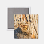 Östlicher Schreieule Magnet (Vorderseite/Rückseite)