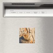 Östlicher Schreieule Magnet (In Situ (Geschirrspüler))