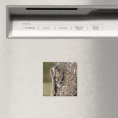 Östlicher Schreieule Magnet (In Situ (Geschirrspüler))