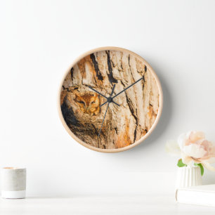 Östlicher Schreieule Uhr