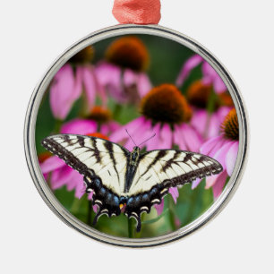 Östlicher Tigerschwalbenschmetterling auf Kegelblu Ornament Aus Metall