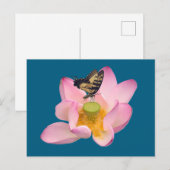 Östlicher Tigerschwalbenschwanz Postkarte (Vorne/Hinten)